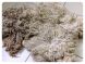 White Shetland Fleecewool 1, 25 грамм