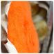 Carded wool K3005, 25 грамм