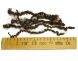 Fleece Wensleydale wool № 2, 10 gram